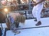 Cla�dia Leite cai de trio el�trico (Ela caiu e se machucou durante show em Salvador)