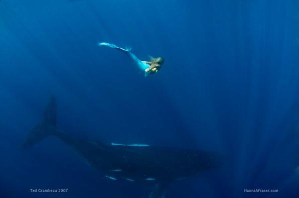 Hannah Fraser é uma australiana de 36 anos que trabalha como sereia. Modelo e ativista do meio ambiente, atualmente ela visita os mares de vários países para ser fotografada como forma de atrair a atenção para a defesa dos oceanos - Divulgação / http://www.hannahfraser.com