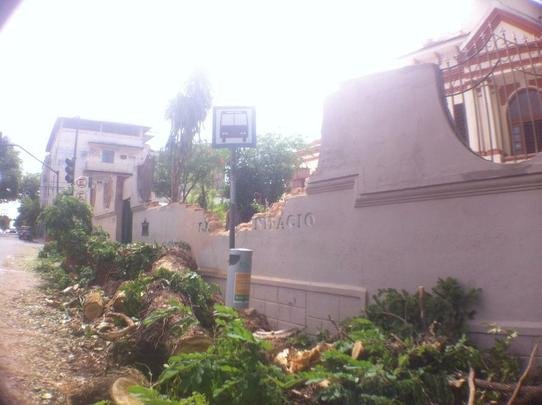Árvore derrubou parte do muro da Escola José Bonifácio, no Bairro Santa Tereza, Região Leste de Belo Horizonte