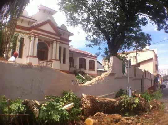 Árvore derrubou parte do muro da Escola José Bonifácio, no Bairro Santa Tereza, Região Leste de Belo Horizonte