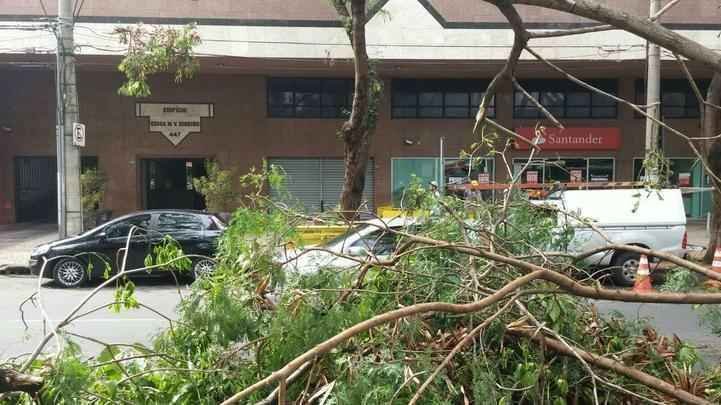 Galho de árvore ocupa parte da pista na Avenida Getúlio Vargas, no Funcionários
