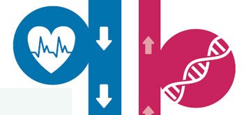 Clique aqui e entenda melhor a pesquisa