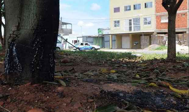 Local onde foi colocado fogo em morador de rua na capital federal e, ao fundo, estabelecimento comercial de suspeito de ser o mandante do crime (Ed Alves/CB/D.A. Press) Local onde foi colocado fogo em morador de rua na capital federal e, ao fundo, estabelecimento comercial de suspeito de ser o mandante do crime (Ed Alves/CB/D.A. Press)