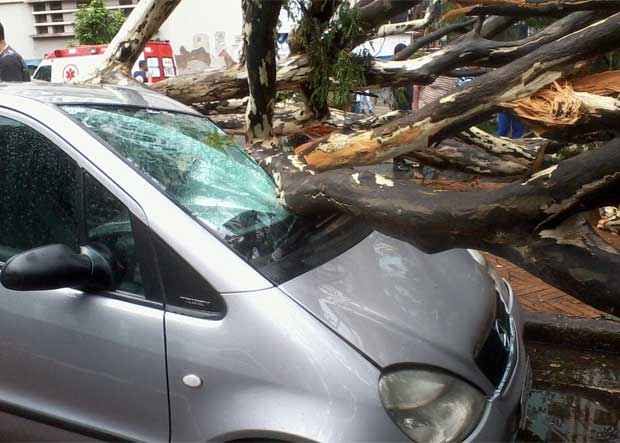 Árvore caiu sobre carro na AVenida Francisco Sales, na região hospitalar (Fernanda Machado /Esp EM DA Press)