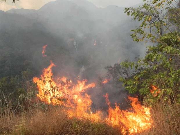 Incêndio na Serra da Moeda, Grande BH,  destruindo vegetação remanescente de Mata Atlântica em agosto de 2011 (Tarcisio Martins/divulgacao )