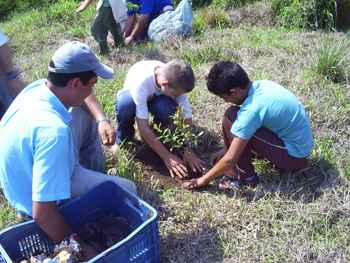 220 mil mudas de árvores já foram plantadas nas nascentes do Rio Jaguari (Divulgacacao/Prefeitura de Extrema, MG ) 220 mil mudas de árvores já foram plantadas nas nascentes do Rio Jaguari (Divulgacacao/Prefeitura de Extrema, MG )