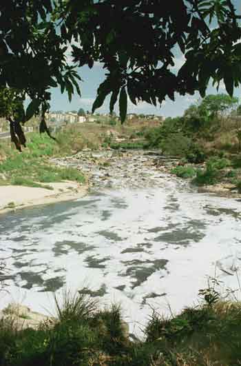 Rio poluído na região metropolitana de Belo Horizonte (Beto Novaes/EM/ DA Press) Rio poluído na região metropolitana de Belo Horizonte (Beto Novaes/EM/ DA Press)