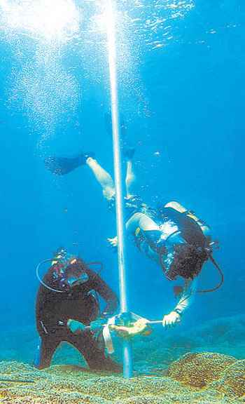 Pesquisadores escolheram banco de corais do Panamá para análise e captar amostras (RICHARD ARONSON-NATURE/DIVULGAÇÃO)