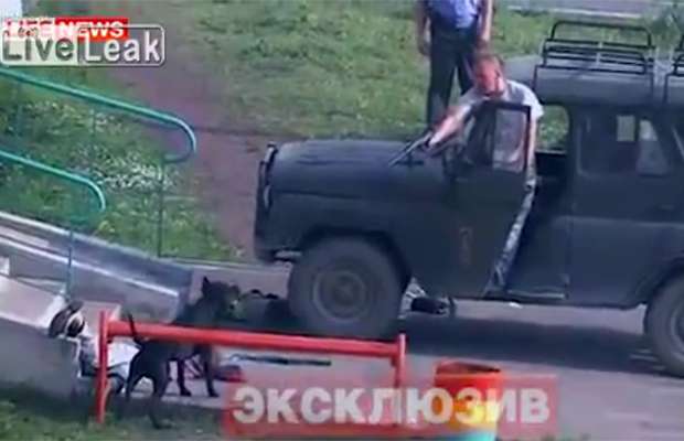 Agente do controle de animais atira dardo tranquilizante contra bull terrier que atacou três pessoas na cidade de Pervouralsk, na Rússia (Reprodução LiveLeak.com) Agente do controle de animais atira dardo tranquilizante contra bull terrier que atacou três pessoas na cidade de Pervouralsk, na Rússia (Reprodução LiveLeak.com)