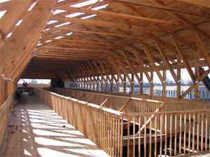 Parte interna da parte mais alta da arca durante a construção (Reprodução internet / www.atlantisonline.smfforfree2.com)