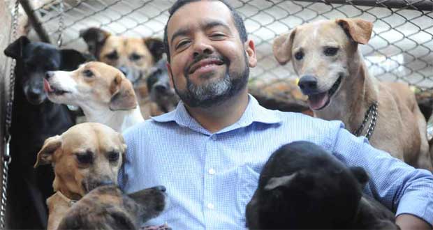 Técnico em veterinária, Franklin Soares de Oliveira está à frente da ONG Núcleo Fauna de Defesa Animal (Leandro Couri/EM/D.A Press)
