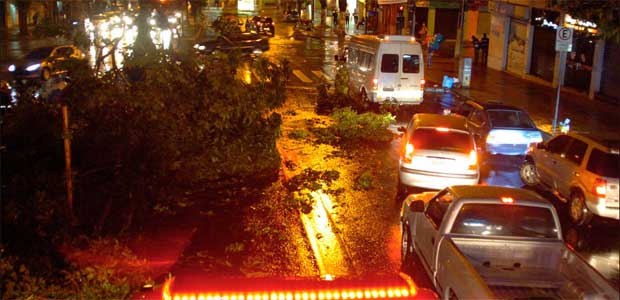 Temporal provoca, em junho de 2011, queda de árvores na Avenida do Contorno (Alexandre Guzanshe/EM/D.A Press - 9/6/1)