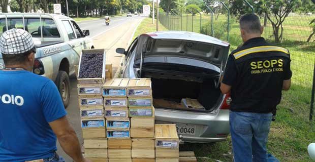  (Fl�vio Novais/Seops/Divulga��o)