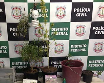  (Divulga��o Pol�cia Civil DF)
