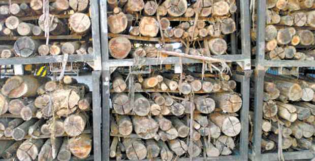 Ao ser queimada, madeira gera vários subprodutos gasosos, sendo a maioria muito poluente. Solução  aplicada no processo minimiza ação negativa na atmosfera (JOSÉ DILCIO ROCHA/DIVULGAÇÃO)