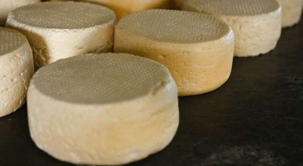 Patrimônio de Minas Gerais, queijo artesanal poderá ser exportado (Acervo SETUR MG )