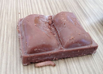 Designer encontrou larva de mosca em chocolate (Laiz Giovani/Arquivo Pessoal)