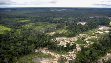 Desmatamento na Amazônia (AFP) Desmatamento na Amazônia (AFP)