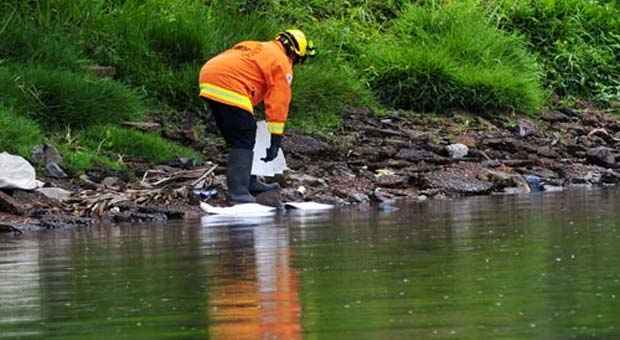 Técnico vistoria Lago Paranoá, atingido por mancha de óleo (Ed Alves/CB/D.A Press) Técnico vistoria Lago Paranoá, atingido por mancha de óleo (Ed Alves/CB/D.A Press)