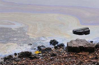 A mancha de óleo no Lago Paranoá está localizada próximo ao Iate Clube, no Lago Norte (Ed Alves/CB/D.A Press) A mancha de óleo no Lago Paranoá está localizada próximo ao Iate Clube, no Lago Norte (Ed Alves/CB/D.A Press)