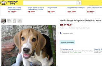 O anúncio foi ao ar na quinta-feira, mas retirado nesta sexta, segundo a assessoria de imprensa do Mercado Livre (Reprodução/Mercado Livre) O anúncio foi ao ar na quinta-feira, mas retirado nesta sexta, segundo a assessoria de imprensa do Mercado Livre (Reprodução/Mercado Livre)