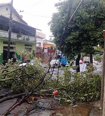 Árvore cai na Rua Antônio Ferreira Maia, no Barreiro, e deixa moradores em energia elétrica (Daniel de Paula)