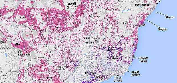  (Reprodução www.globalforestwatch.org)