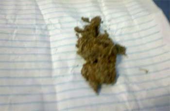 Menino entregou a droga embrulhada em uma folha de papel Menino entregou a droga embrulhada em uma folha de papel