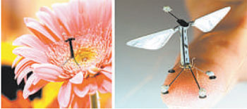 Arquivo EM/D.A Press Arquivo EM/D.A Press