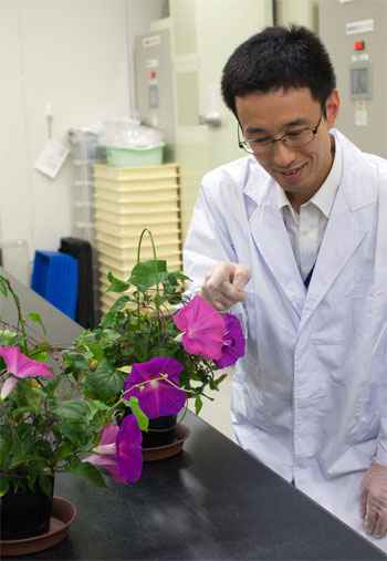 AFP PHOTO / NATIONAL AGRICULTURE AND FOOD RESEARCH ORGANIZATION AFP PHOTO / NATIONAL AGRICULTURE AND FOOD RESEARCH ORGANIZATION