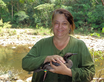 Arquivo Terra Brasilis Arquivo Terra Brasilis