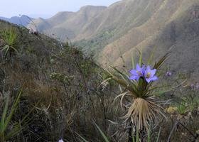 Imortalizado nos versos de Mário de Andrade, Parque da Serra do ... - Estado de Minas