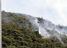 Bombeiros debelam incêndio na Serra do Curral - Estado de Minas