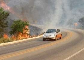Incêndio atinge mata na MG-436, em Barão de Cocais - Estado de Minas