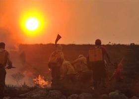 Há pelo menos três meses incêndios devastam a flora e a fauna em ... - Estado de Minas