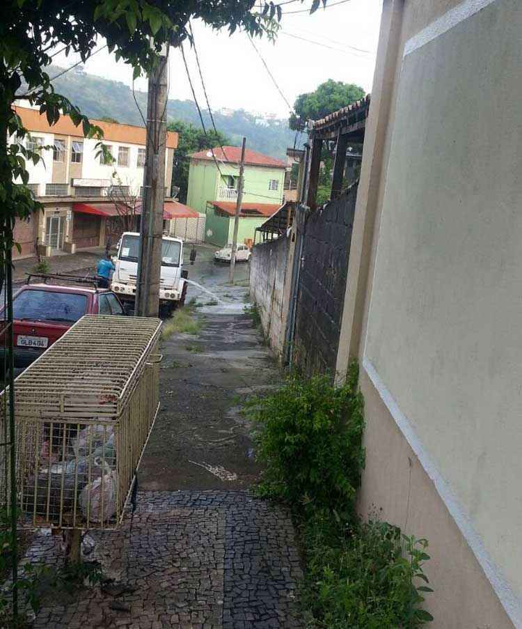 Luciana Santos Luciana Santos