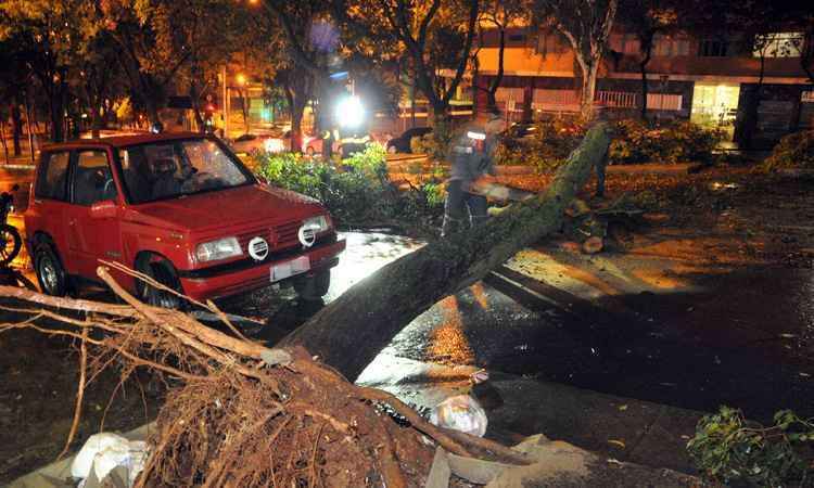 Quedas de árvores e acidentes são registrados durante a chuva em ... - Estado de Minas