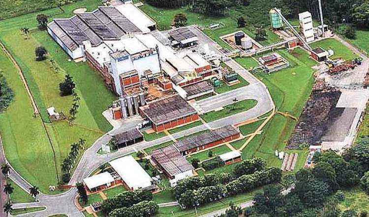 NESTLÉ/Divulgação
NESTLÉ/Divulgação