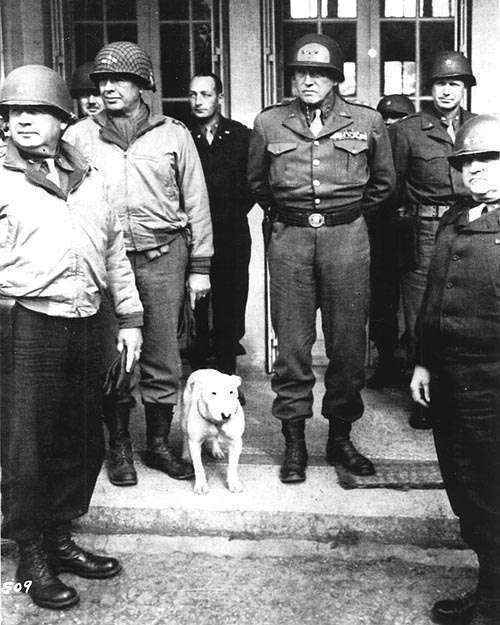 Exército U.S. Exército U.S.