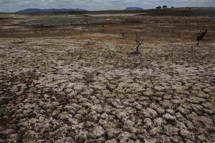 Lunae Parracho/Reuters Lunae Parracho/Reuters