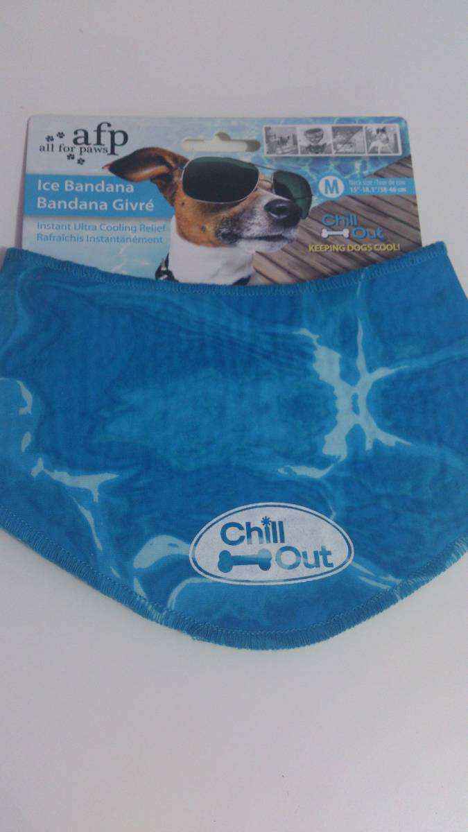 Reprodução da internet - Mundo pet Reprodução da internet - Mundo pet