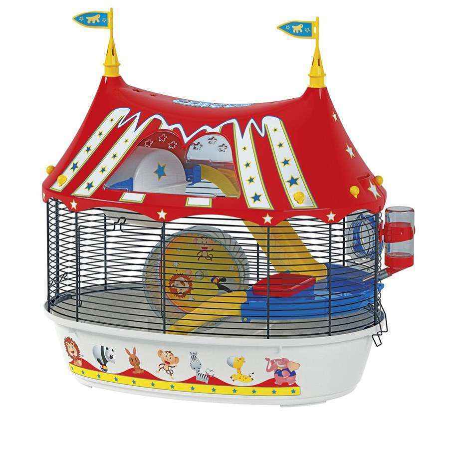Animalle Mundo Pet/Reprodução Animalle Mundo Pet/Reprodução