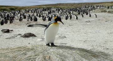 Gary Clement/Reuters 17/5/10 Gary Clement/Reuters 17/5/10