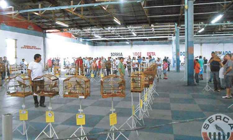 Serca/Divulgação Serca/Divulgação