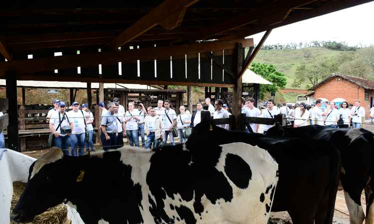 Aelson Amaral/Embrapa Aelson Amaral/Embrapa