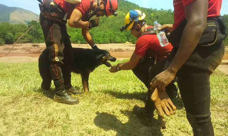 Corpo de Bombeiros/Divulgação Corpo de Bombeiros/Divulgação