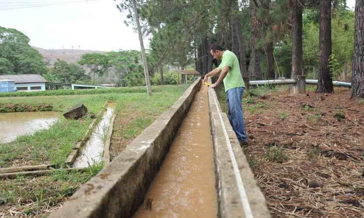 Alexandre Guzanshe/EM/D.A Press