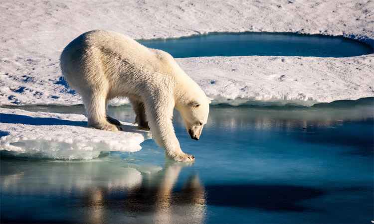 Mario Hoppmann/AFP/European Geosciences Union Mario Hoppmann/AFP/European Geosciences Union