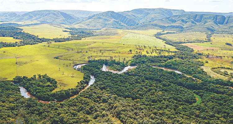 Resultado de imagem para parque serra da canastra