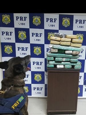 PRF/Divulgação PRF/Divulgação